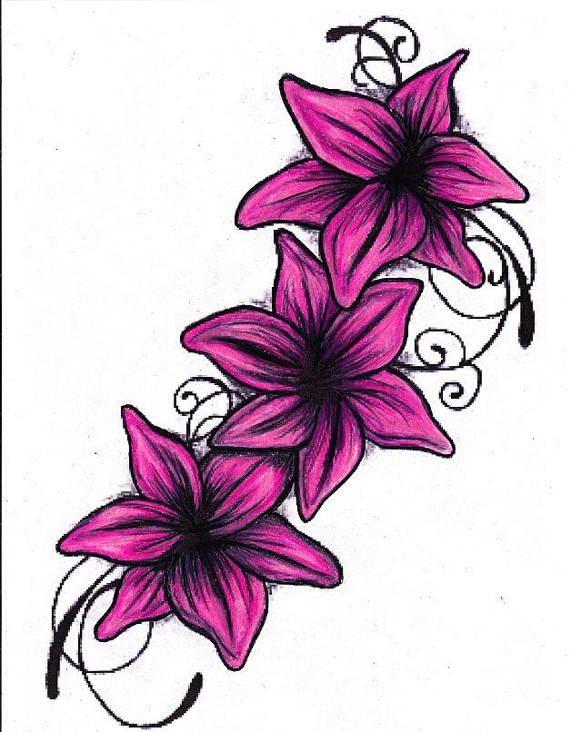 628x806 three lilies pink and black flowers - Black Flower Drawing