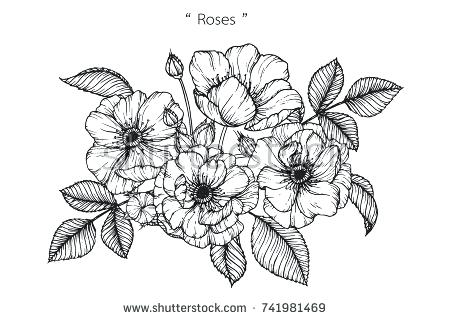 450x320 Black And White Flower Best Simple Butterfly Drawing Ideas Easy - Black Flower Drawing