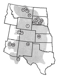 204x270 endangered species program news bulletins spring - Black Footed Ferret Drawing