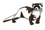 150x100 how to draw a black footed ferret - Black Footed Ferret Drawing