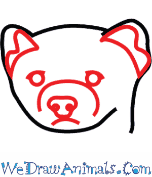 300x350 how to draw a black footed ferret - Black Footed Ferret Drawing