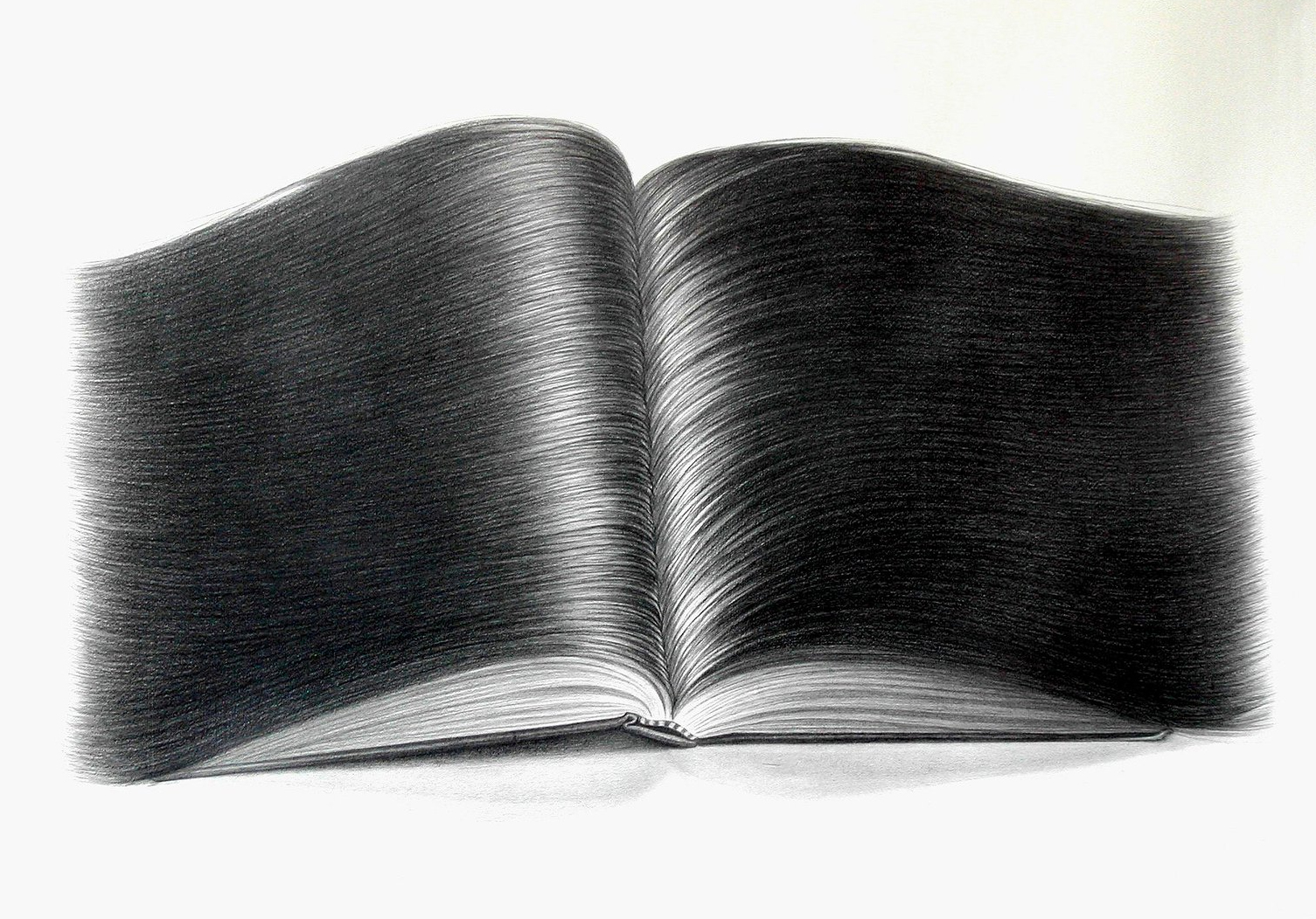 1505x1052 Detailed Graphite Hair Drawings - Black Hair Drawing