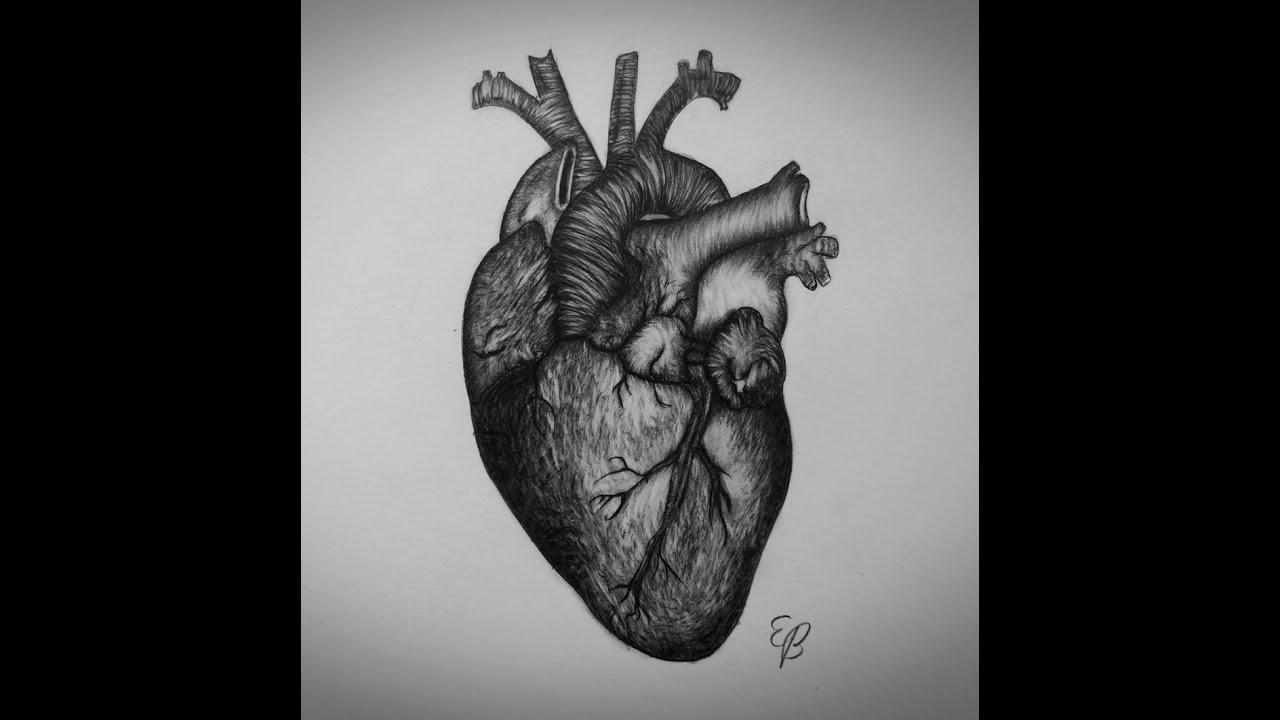 1280x720 How To Draw Heart Step - Black Heart Drawing