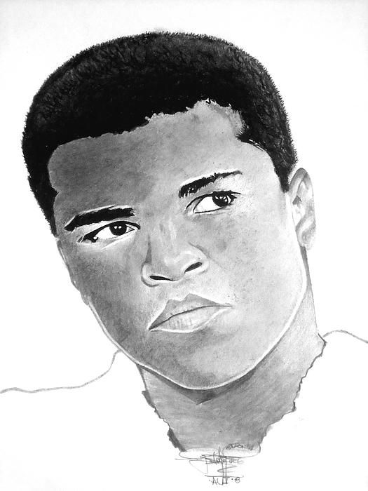 525x700 muhammad ali drawing - Black History Month Drawings