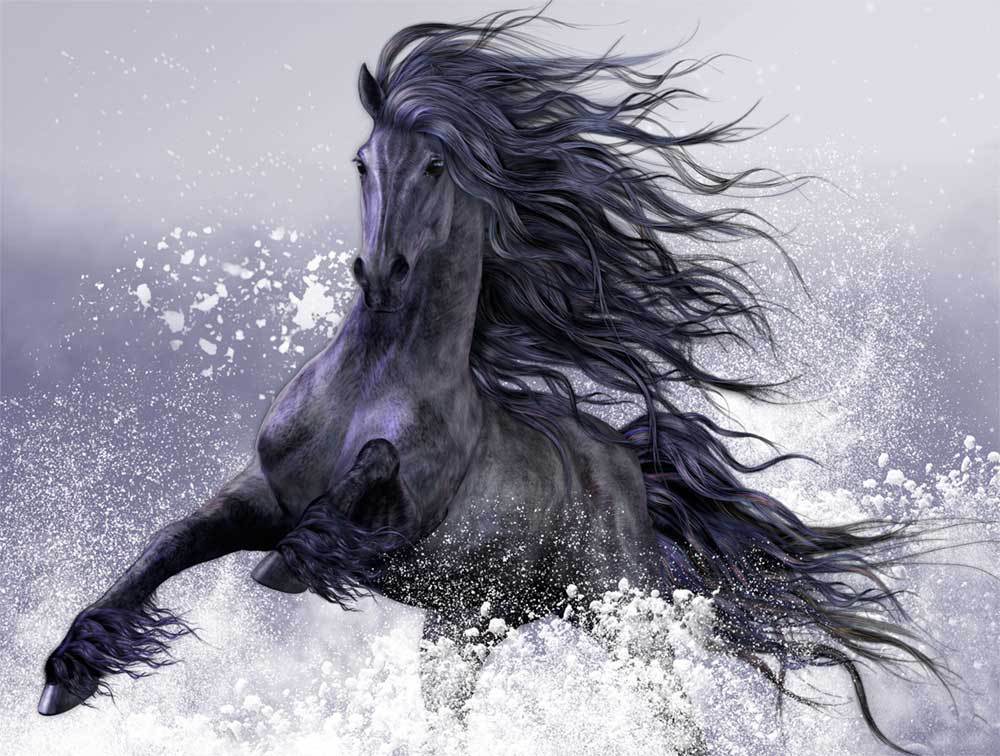 1000x756 Beautiful Black Horse Oil Painting - Black Horse Drawing