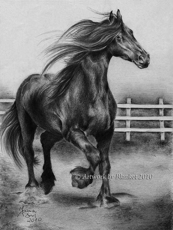 679x900 Black Horse Drawing - Black Horse Drawing
