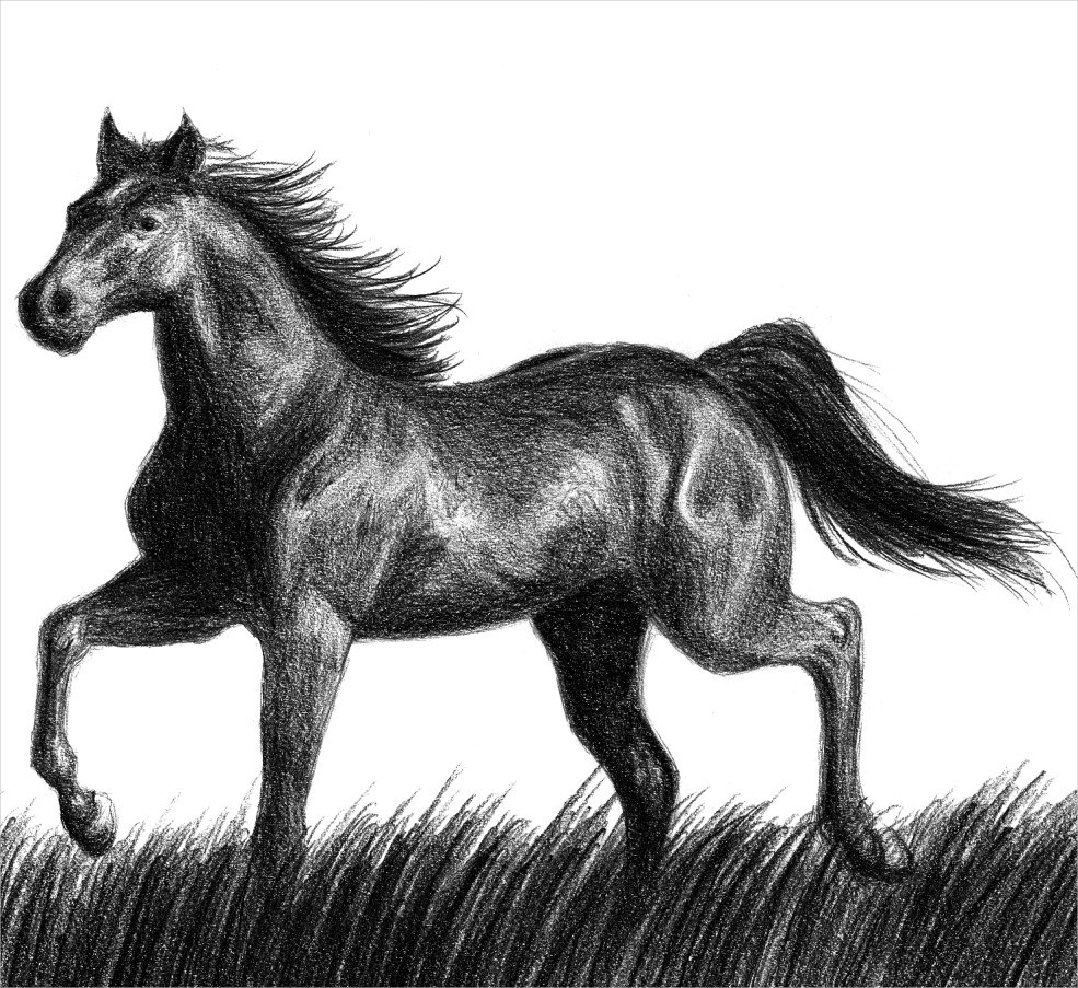Фото рисунков лошадей
