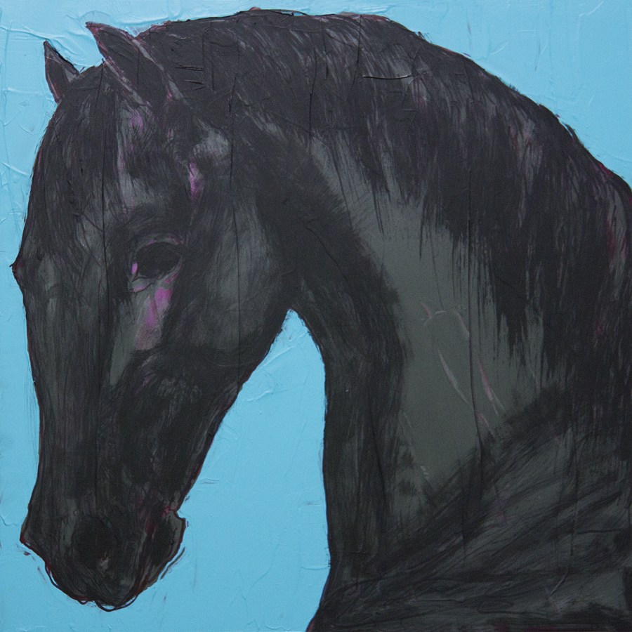 900x900 Black Horse Left On Aqua - Black Horse Drawing
