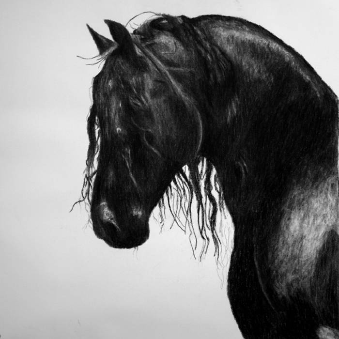 700x700 Black Horse Plague Trvth - Black Horse Drawing