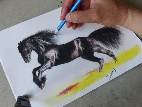 480x360 Drawing A Black Horse - Black Horse Drawing