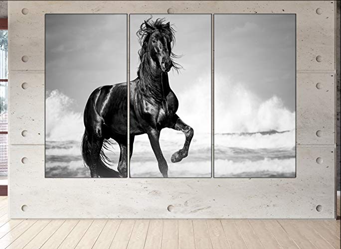 Black Horse Drawing At Paintingvalley Com Explore Collection Of