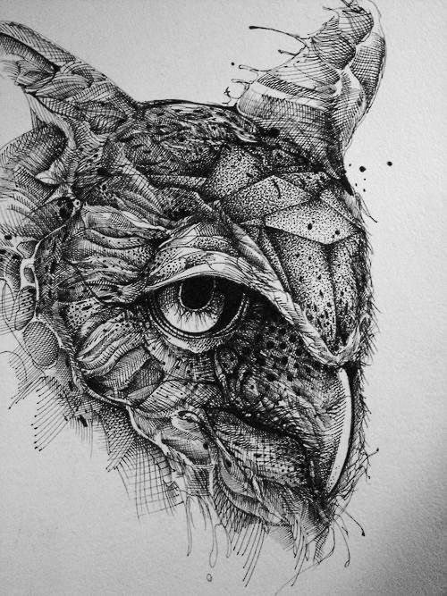500x667 owl ink drawing art animal art, black ink art, ink art - Black Ink Drawings