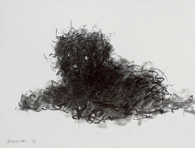 750x570 artist ilustrates fluffy dogs with expressive gesture drawings - Black Ink Drawings