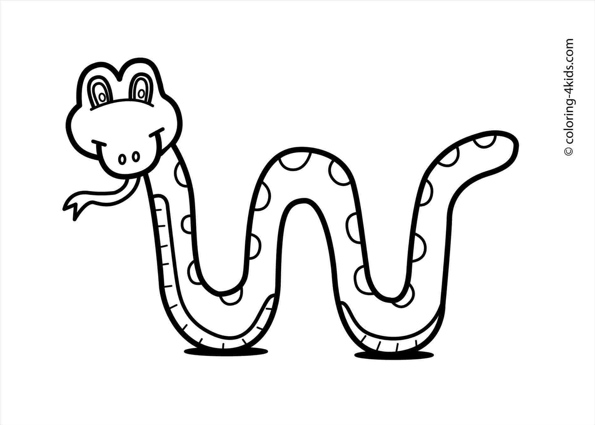 1899x1355 kids rhdrawingforkidscom animals coloring pages snake snake - Black Kid Drawing