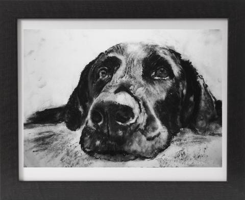 480x391 black labrador dog art charcoal art print black and white drawing - Black Lab Drawing