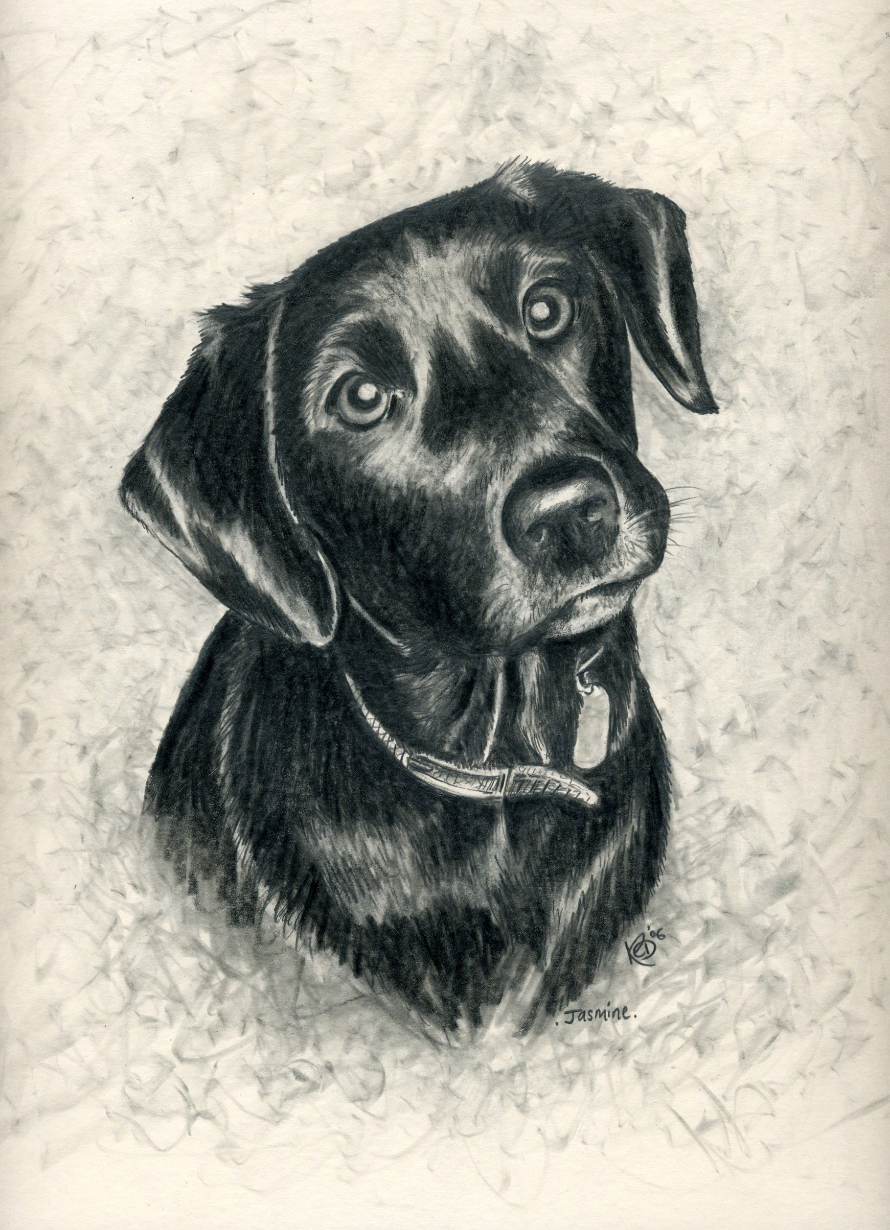 1819x2512 black lab artwork pets dog art, black labs, brown dog - Black Lab Drawing
