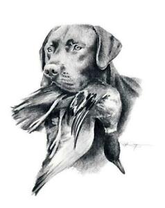 238x300 black lab hunting spotter djr dog painting print poster wall art - Black Lab Drawing