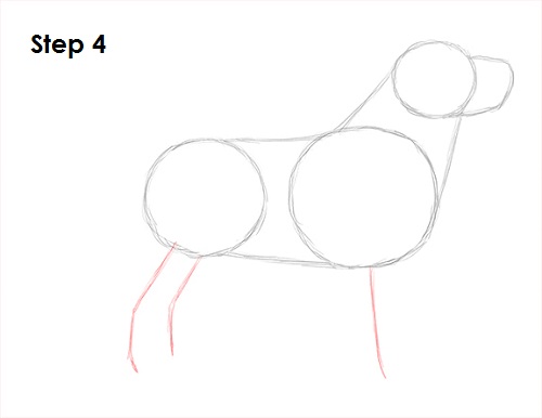 500x386 How To Draw A Dog - Black Lab Line Drawing