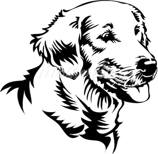550x534 Labrador Retriever Clipart Line Drawing - Black Lab Line Drawing