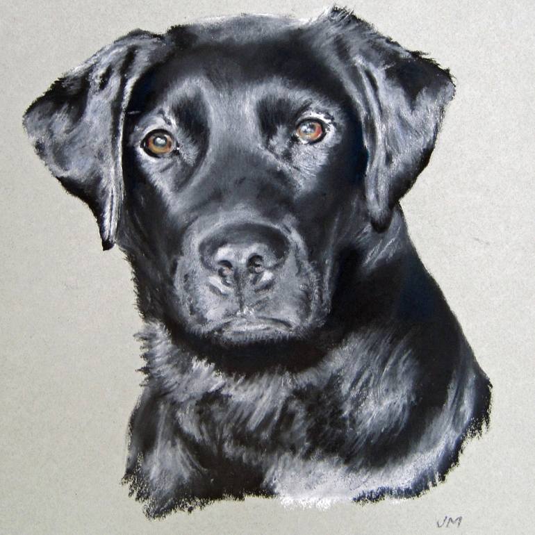 770x770 black labrador watching you drawing - Black Labrador Drawing