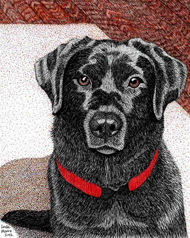 384x480 Leslie Moore - Black Labrador Drawing