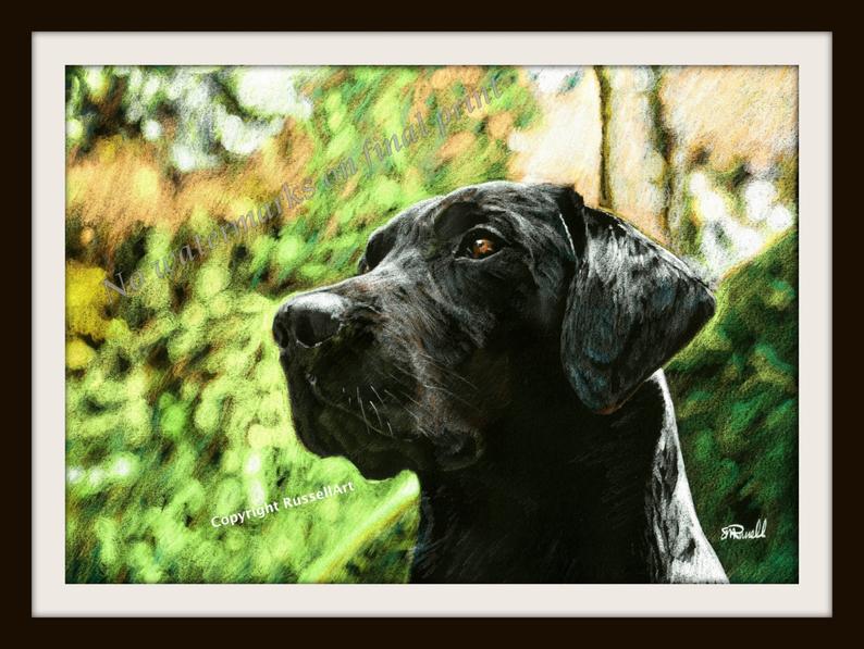 794x597 the thinker black labrador drawing dog large or etsy - Black Labrador Drawing