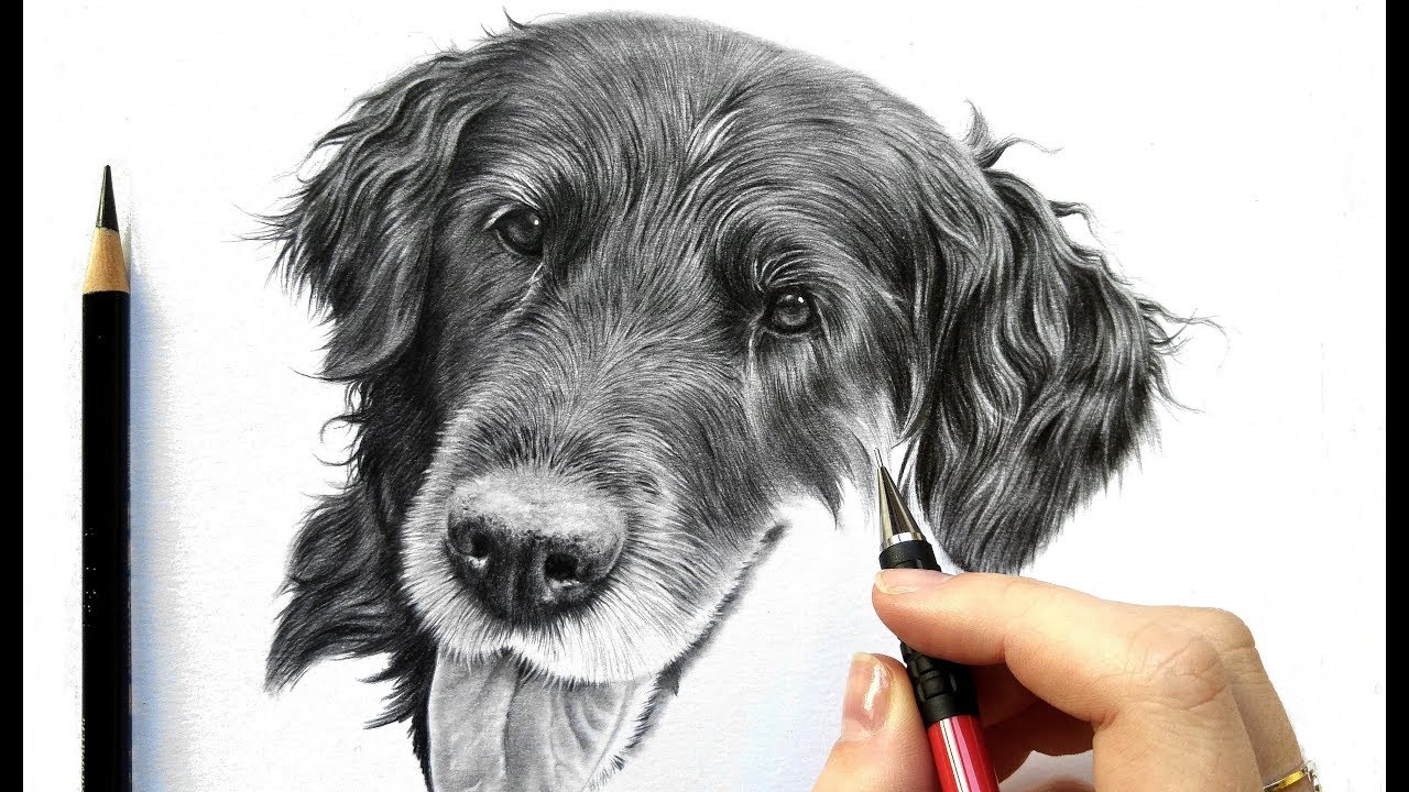 1280x720 Drawing Tutorial How To Draw Realistic Black Fur - Black Pencil Drawing