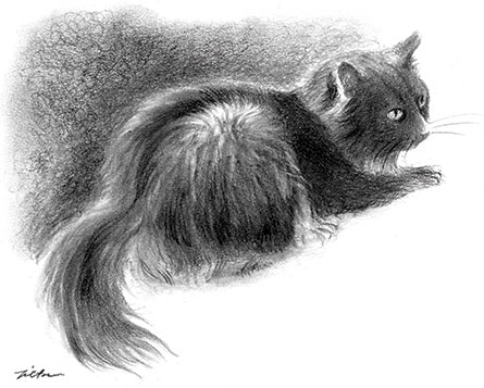 445x357 carbon - Black Pencil Drawing