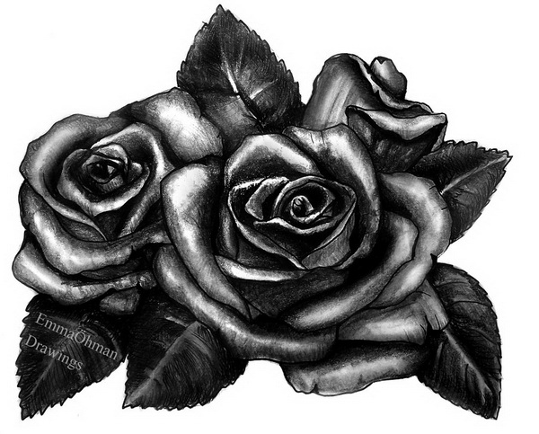 Black Rose Drawing At Explore Collection Of Black