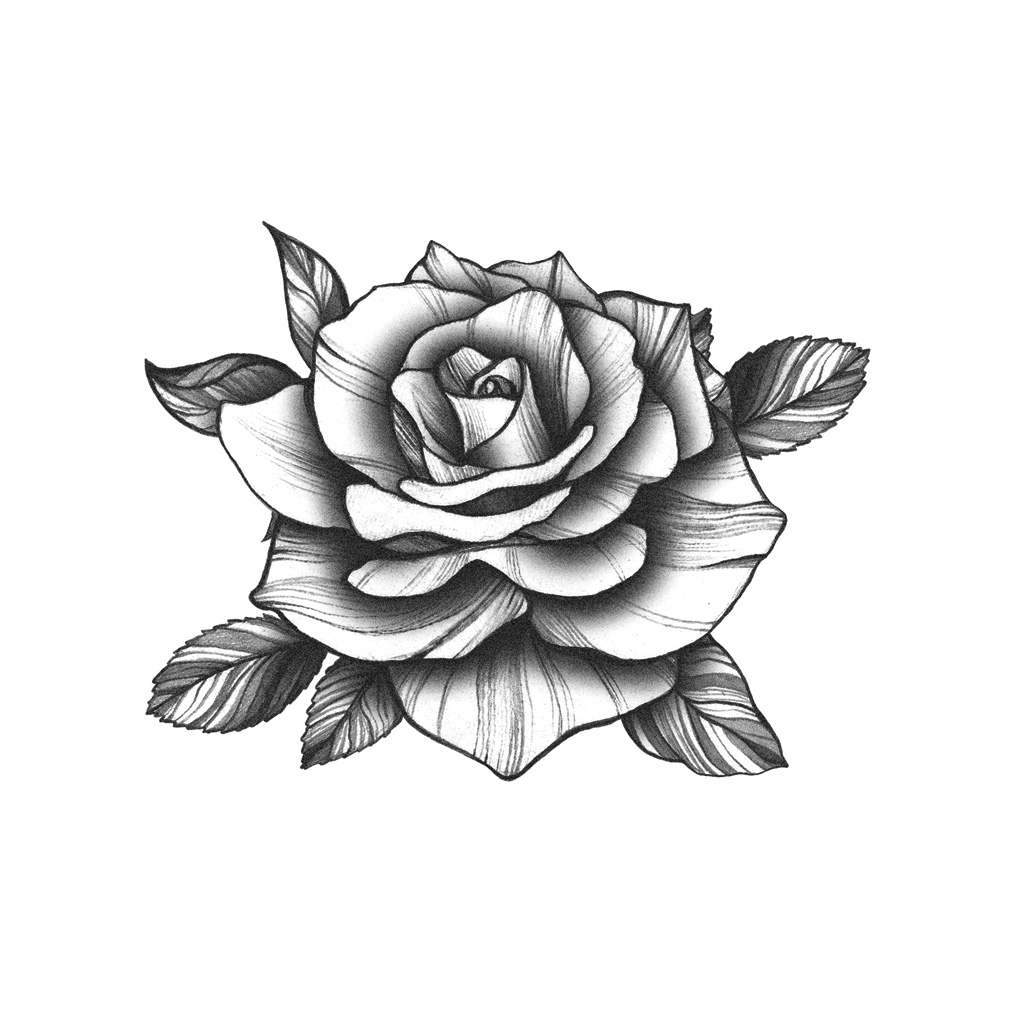 1024x1024 Black Rose Tattoo Icon - Black Rose Drawing