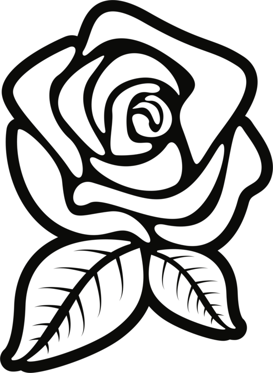 549x750 Black Rose Black And White Silhouette Drawing Cc0 - Black Rose Drawing