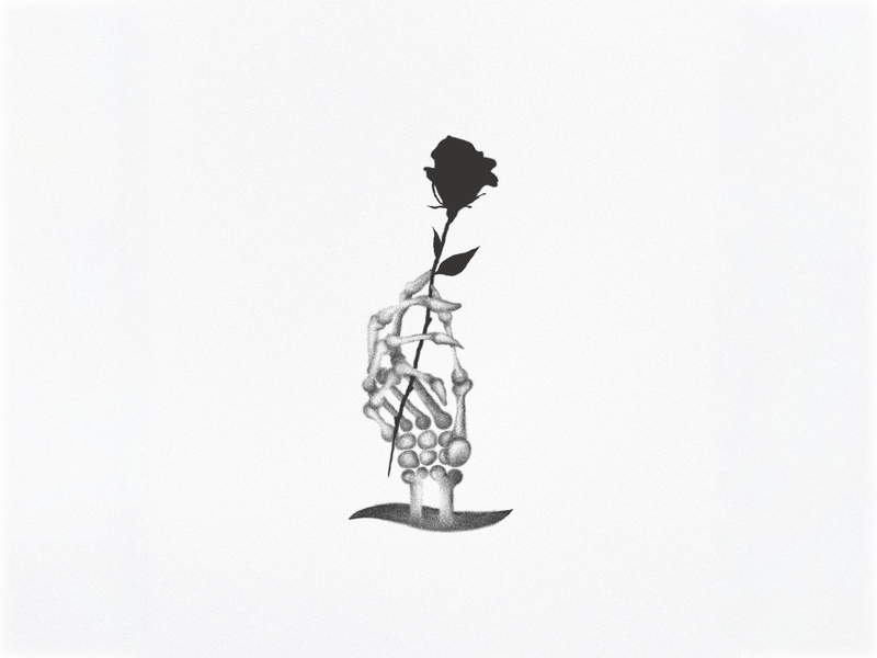 800x600 Black Rose - Black Rose Drawing