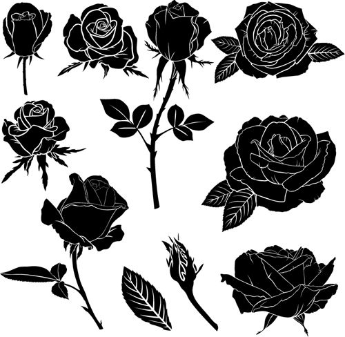 500x488 Black Rose Vector Illustration Black Rose - Black Rose Drawing