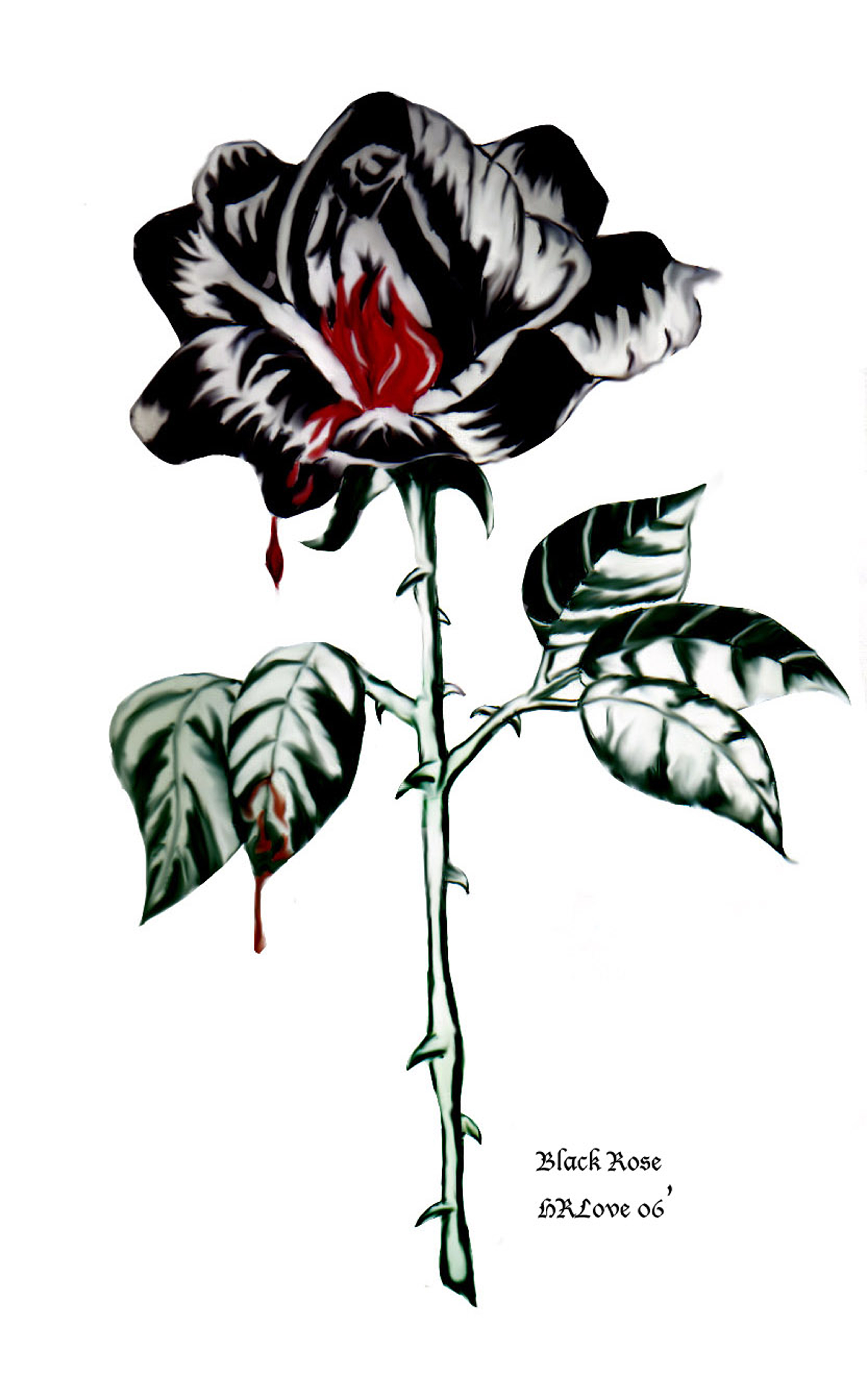 Black Rose Drawing at Explore collection of Black