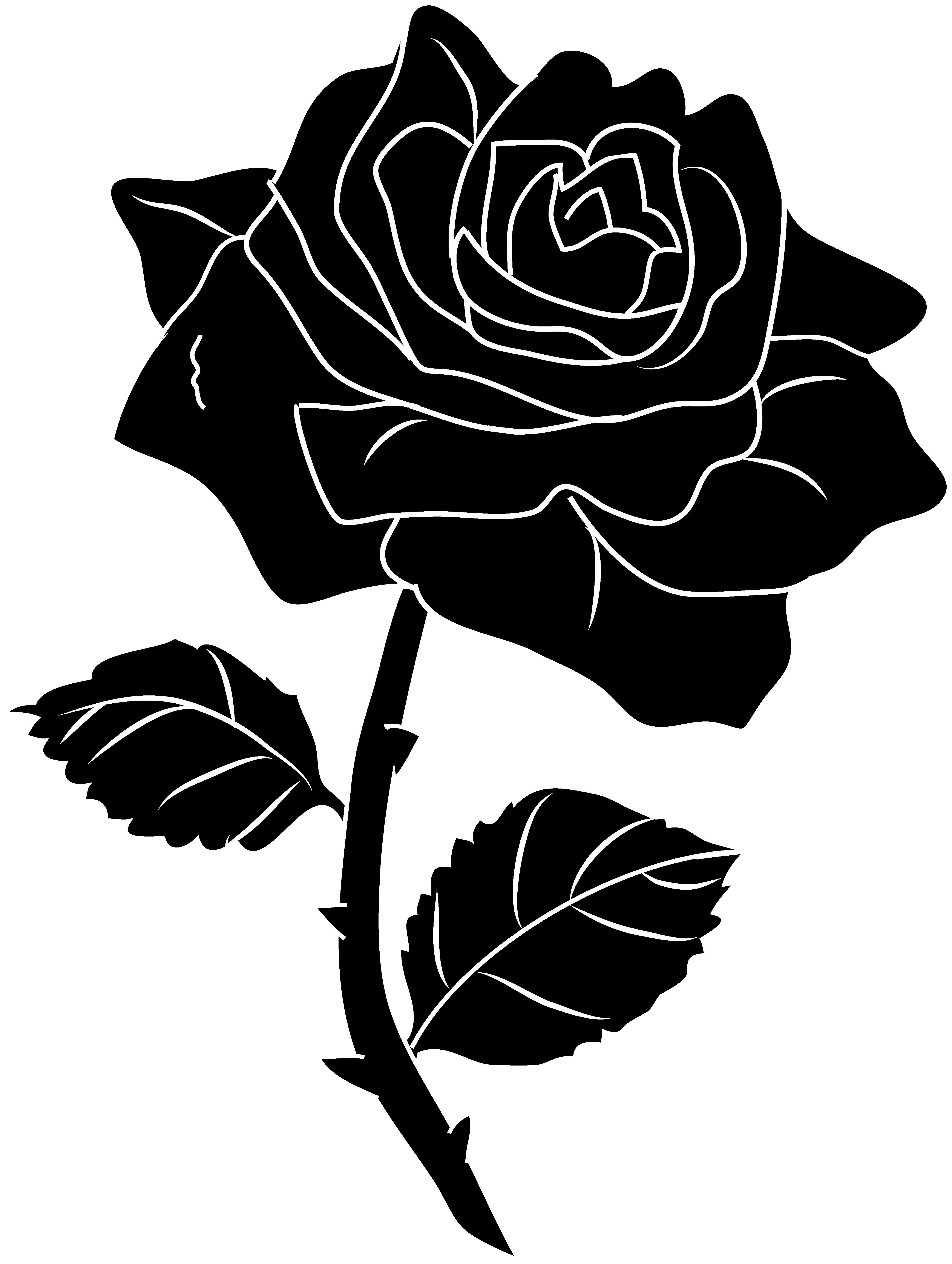4429x5878 hoontoidly single black rose clip art images - Black Rose Drawing
