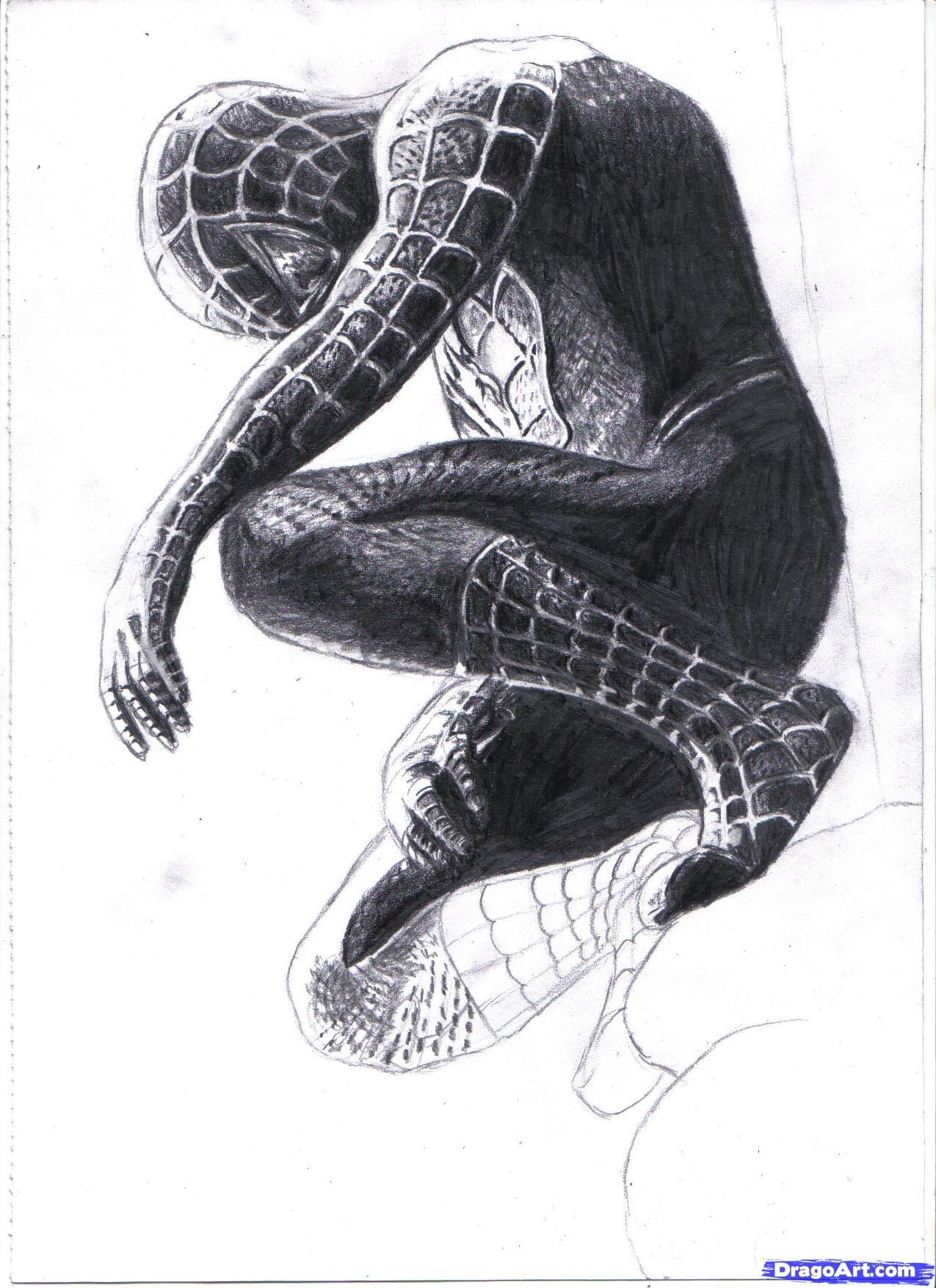 1275x1754 How To Draw Black Spiderman Drawing In Black Spiderman - Black Spiderman Drawing