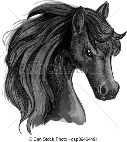418x470 Black Horse Head Sketch Portrait Horse Head Pencil Sketch - Black Stallion Drawing