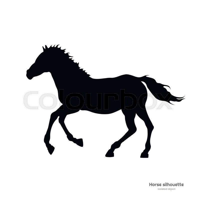 800x800 Black Silhouette Of Running Foal Stock Vector Colourbox - Black Stallion Drawing
