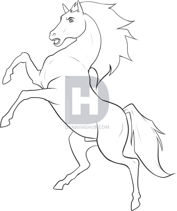 607x720 how to draw a stallion, step - Black Stallion Drawing