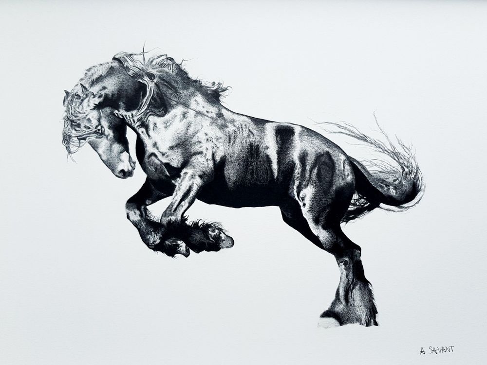 1000x751 Original Handmade Art Graphite Carbon Pencil Drawing Horse - Black Stallion Drawing