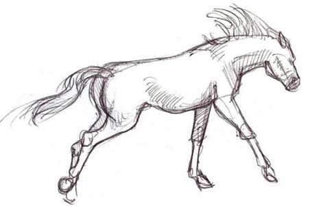 452x300 Art - Black Stallion Drawing