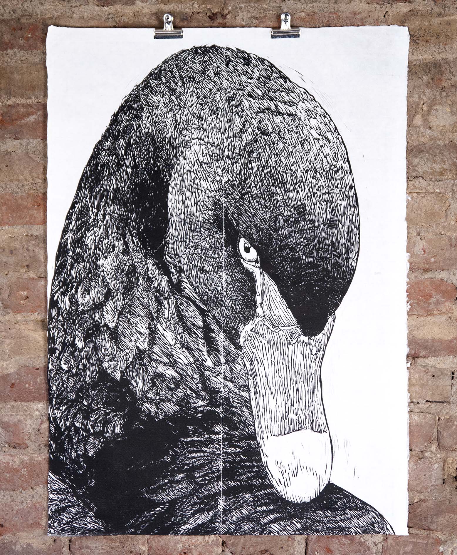 1556x1888 Black Swan - Black Swan Drawing