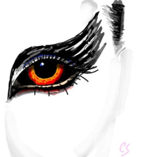 500x535 Blackswan Drawings - Black Swan Drawing