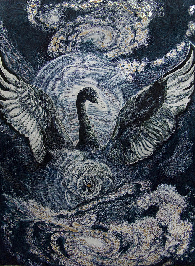 659x900 cosmic black swan drawing - Black Swan Drawing