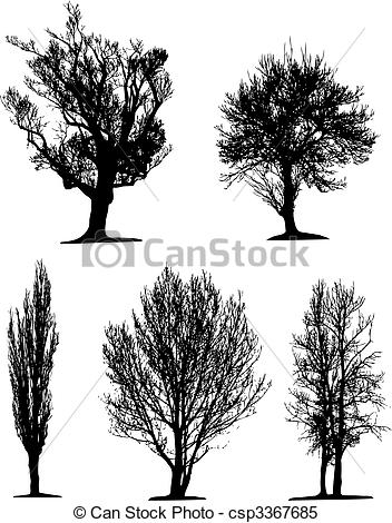 352x470 Black Tree Silhouettes On White Background Vector Illustration - Black Tree Drawing