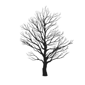 360x360 Black Tree Png Images Vectors And Free Download - Black Tree Drawing