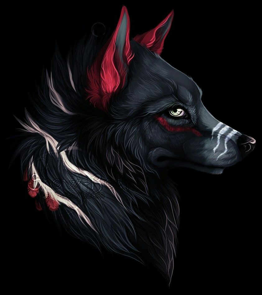Black Wolf Drawing at PaintingValley.com | Explore collection of Black ...