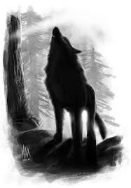 187x269 Resultado De Imagem Para Black Wolf Drawing From Front - Black Wolf Drawing