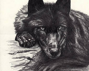 340x270 Wolf Wolves Mates Pair Christmas Gift Limited Edition Print Etsy - Black Wolf Drawing