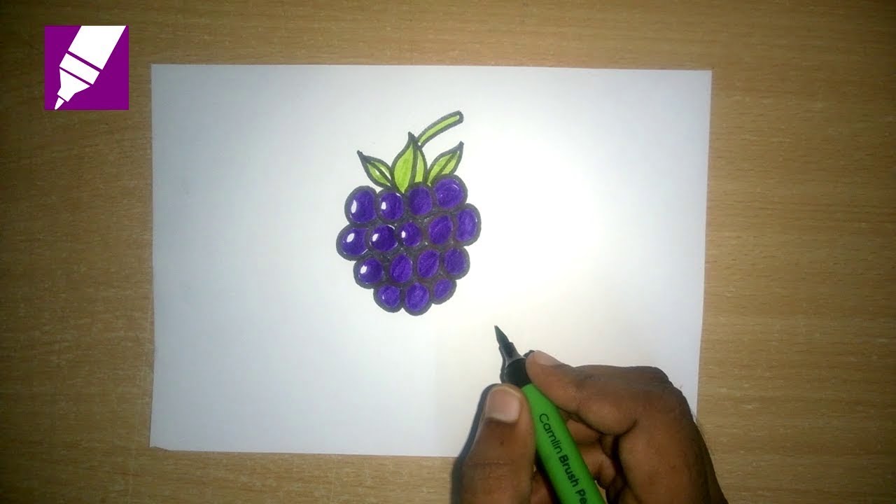 Blackberry Drawing at Explore collection of Blackberry Drawing